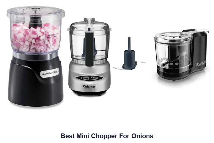 Best Mini Chopper For Onions