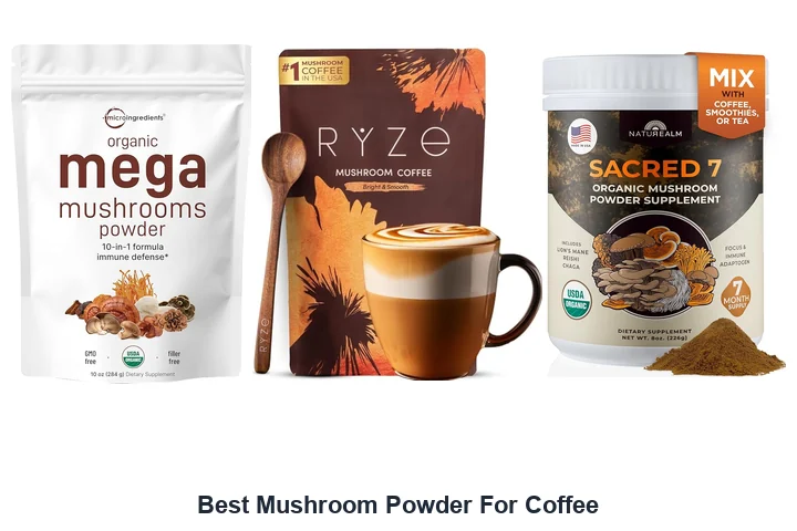 Best Mushroom Powder For Coffee