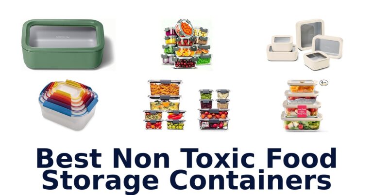 best non toxic food storage containers