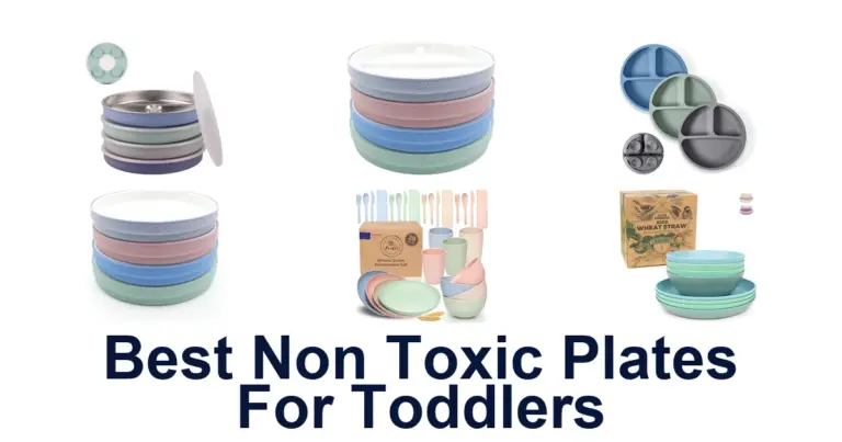 best non toxic plates for toddlers