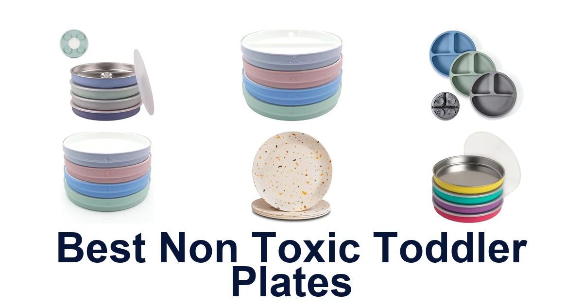 best non toxic toddler plates