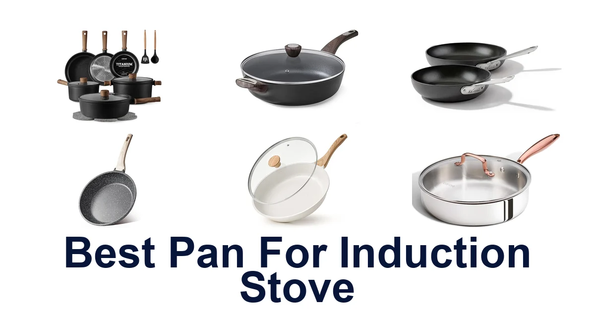 best pan for induction stove
