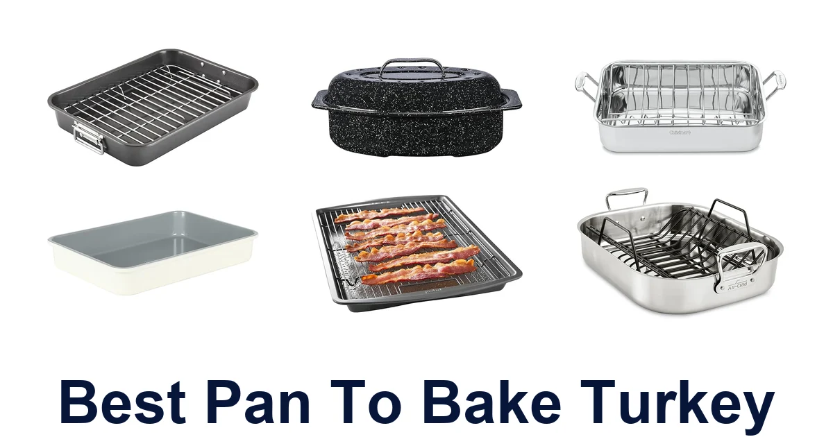 best pan to bake turkey