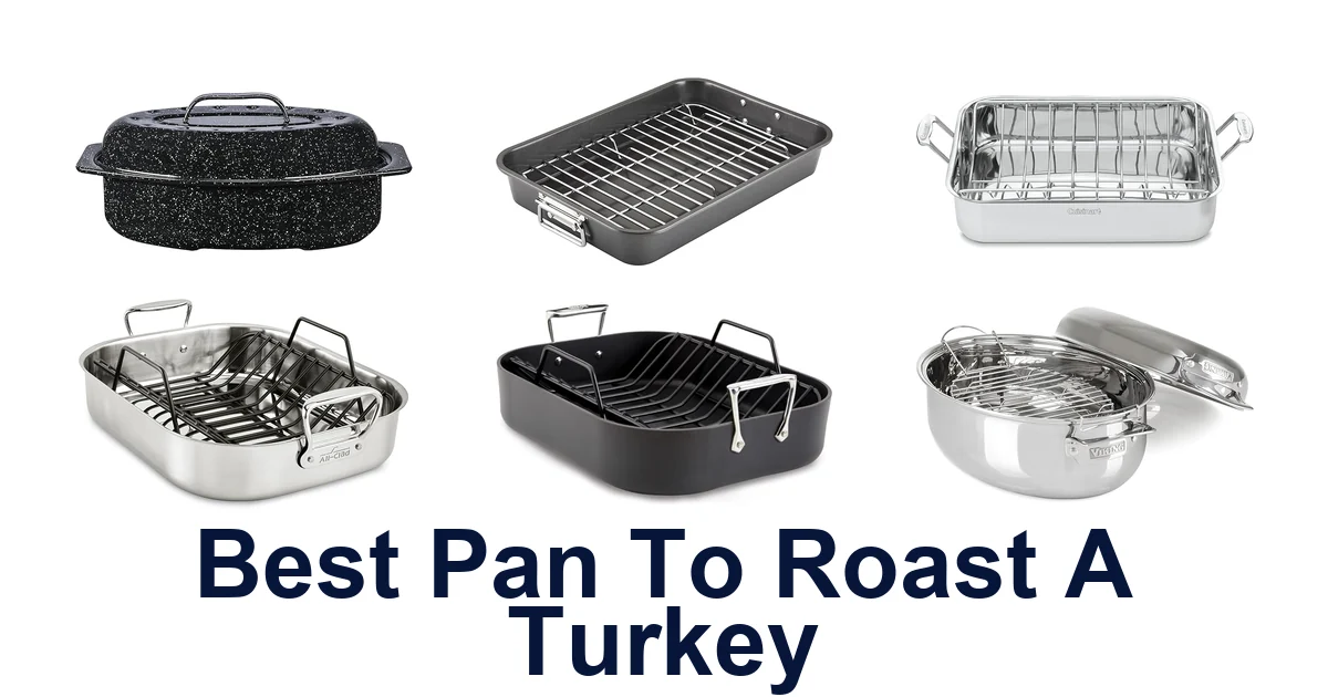 best pan to roast a turkey