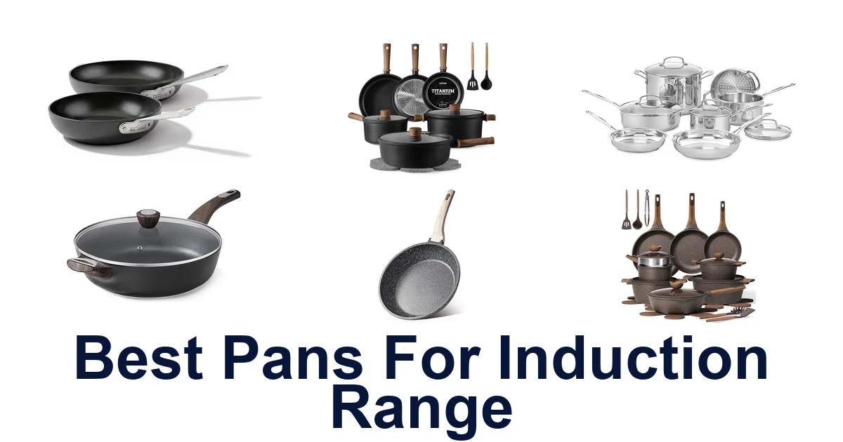 best pans for induction range