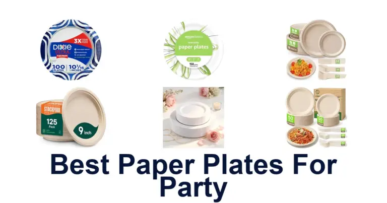 best paper plates for party
