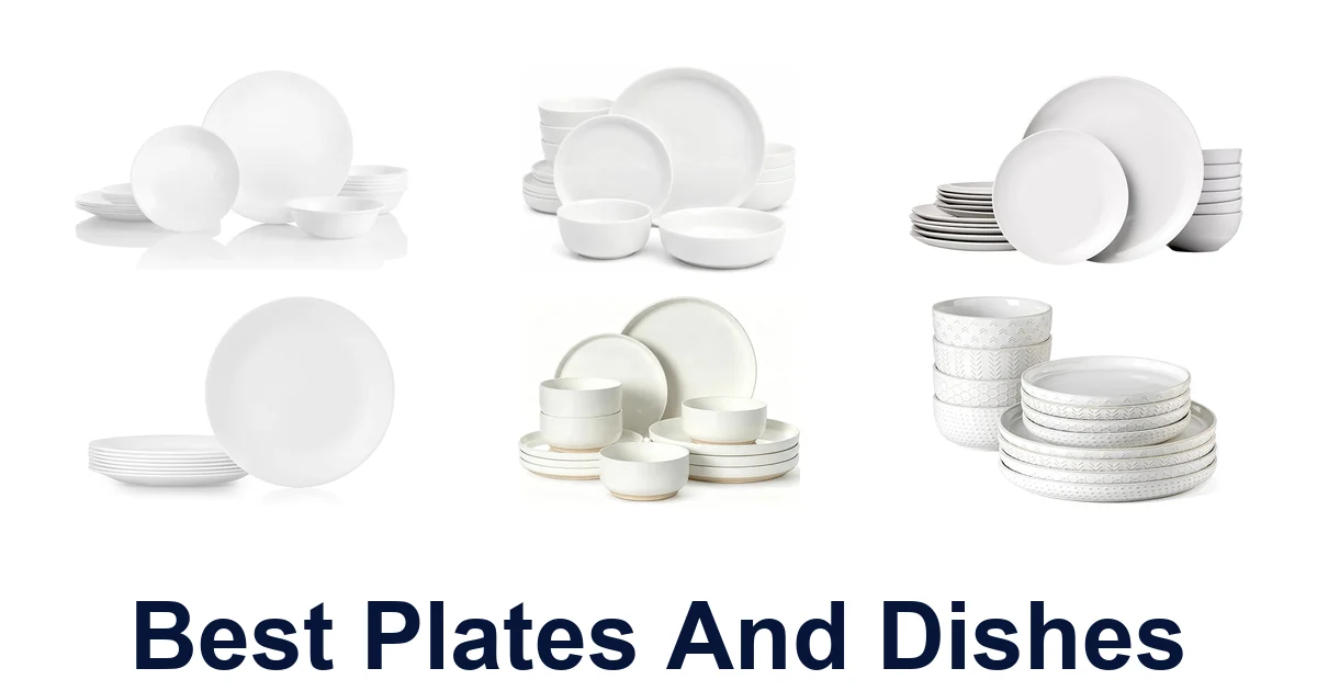 best plates and dishes