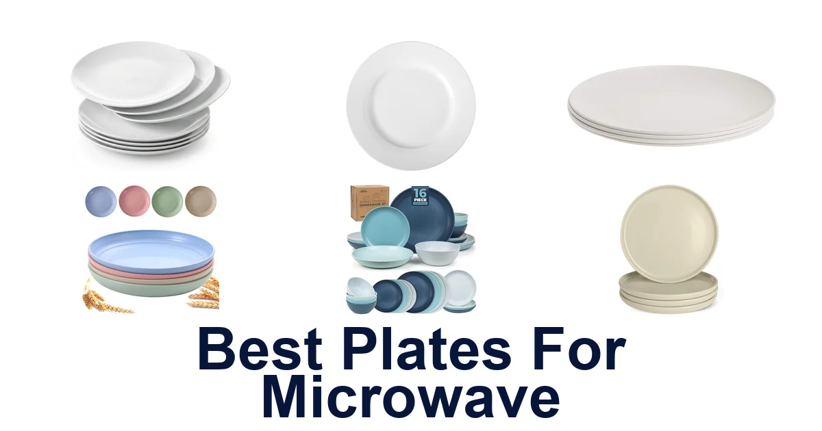 best plates for microwave