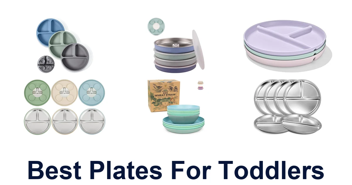 best plates for toddlers