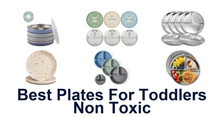 best plates for toddlers non toxic