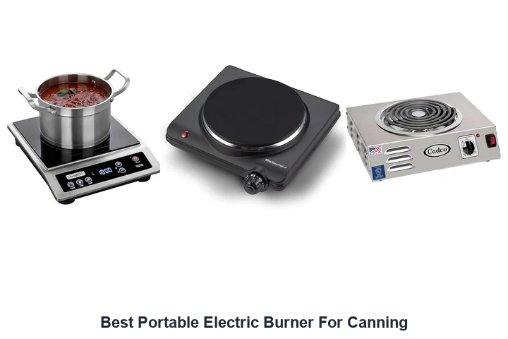 Best Portable Electric Burner For Canning