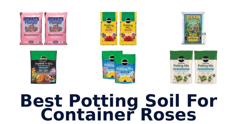 best potting soil for container roses