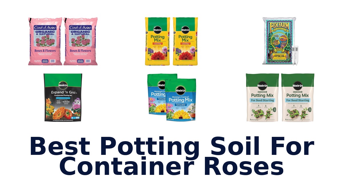 best potting soil for container roses