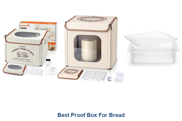Best Proof Box For Bread