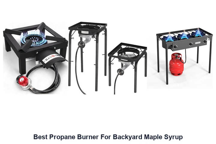 Best Propane Burner For Backyard Maple Syrup