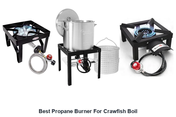 Best Propane Burner For Crawfish Boil