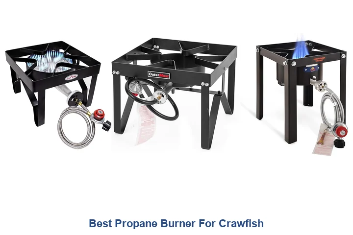 Best Propane Burner For Crawfish
