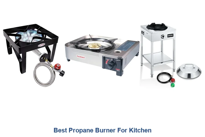 Best Propane Burner For Kitchen