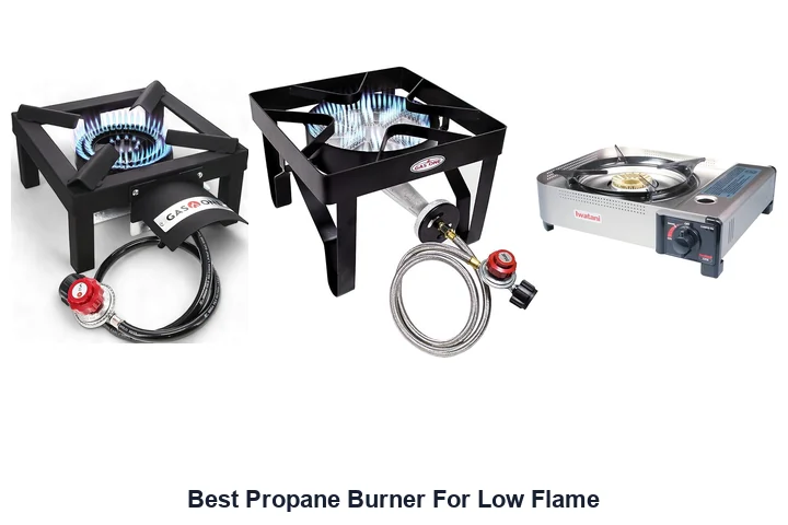 Best Propane Burner For Low Flame