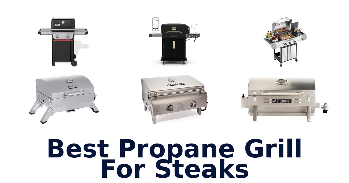 best propane grill for steaks
