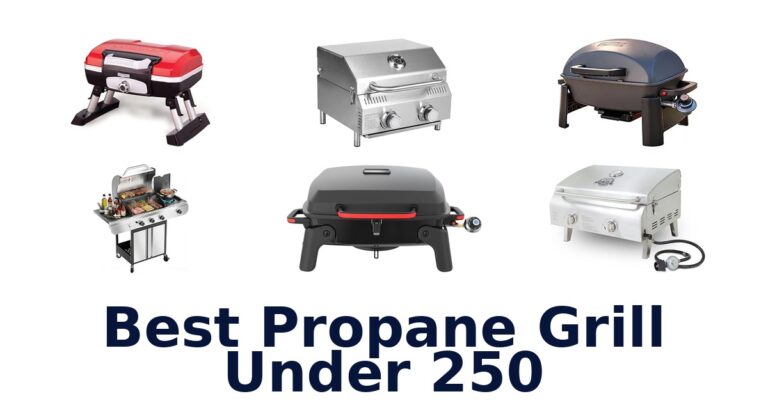 best propane grill under 250