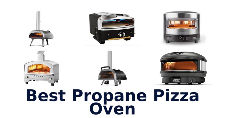 best propane pizza oven