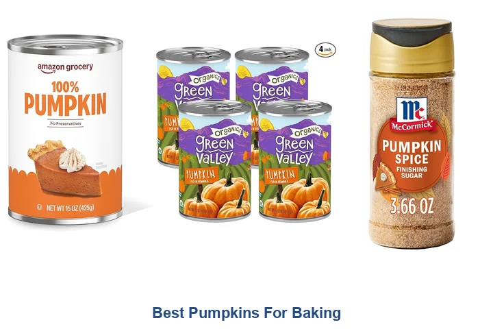 Best Pumpkins For Baking