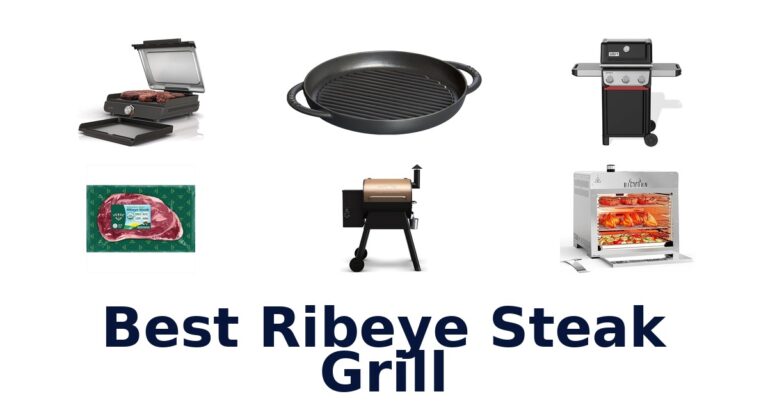 best ribeye steak grill