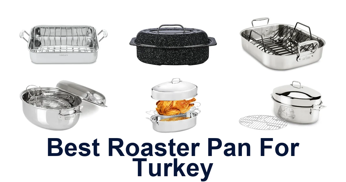 best roaster pan for turkey
