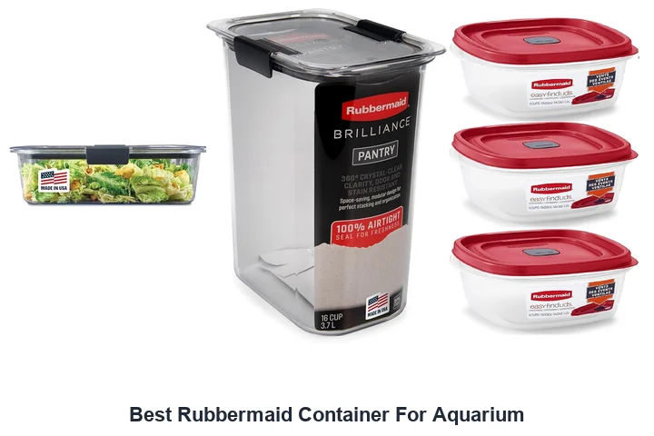 Best Rubbermaid Container For Aquarium