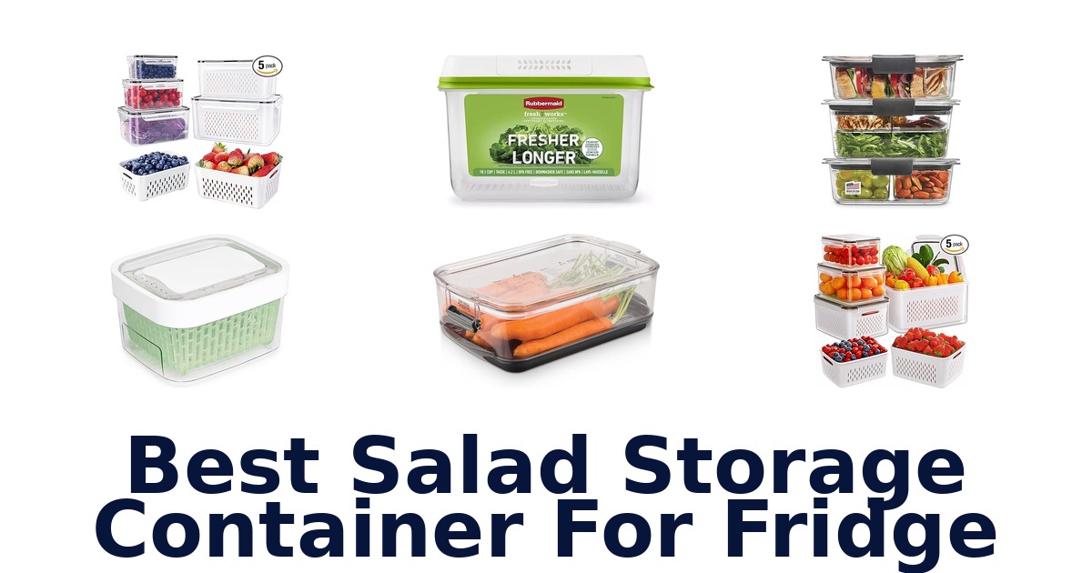 best salad storage container for fridge