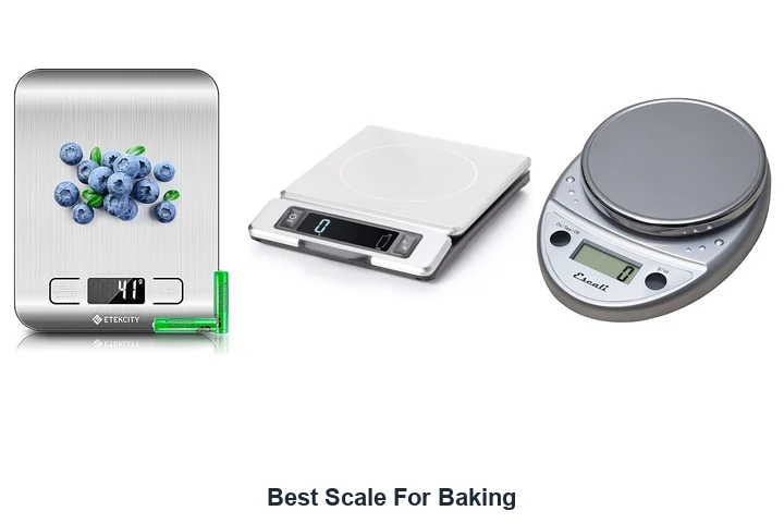 Best Scale For Baking