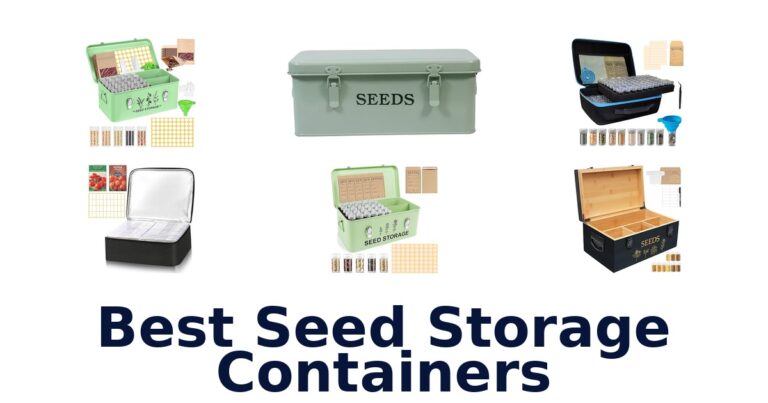 best seed storage containers