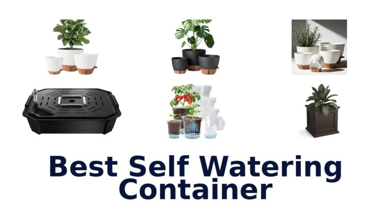 best self watering container