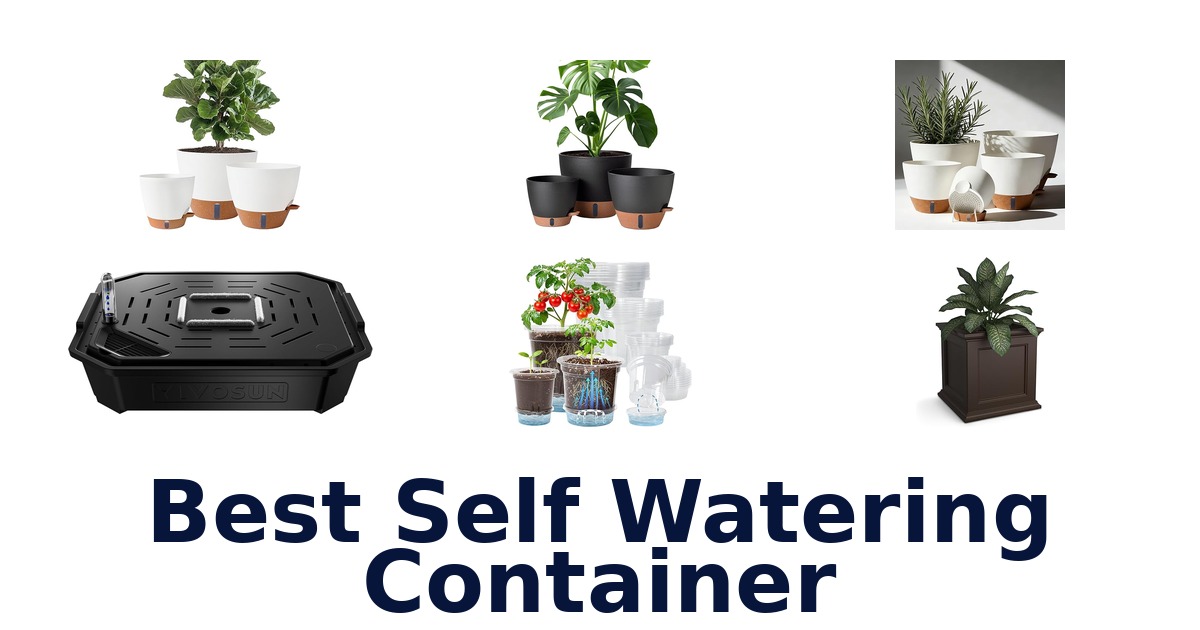 best self watering container