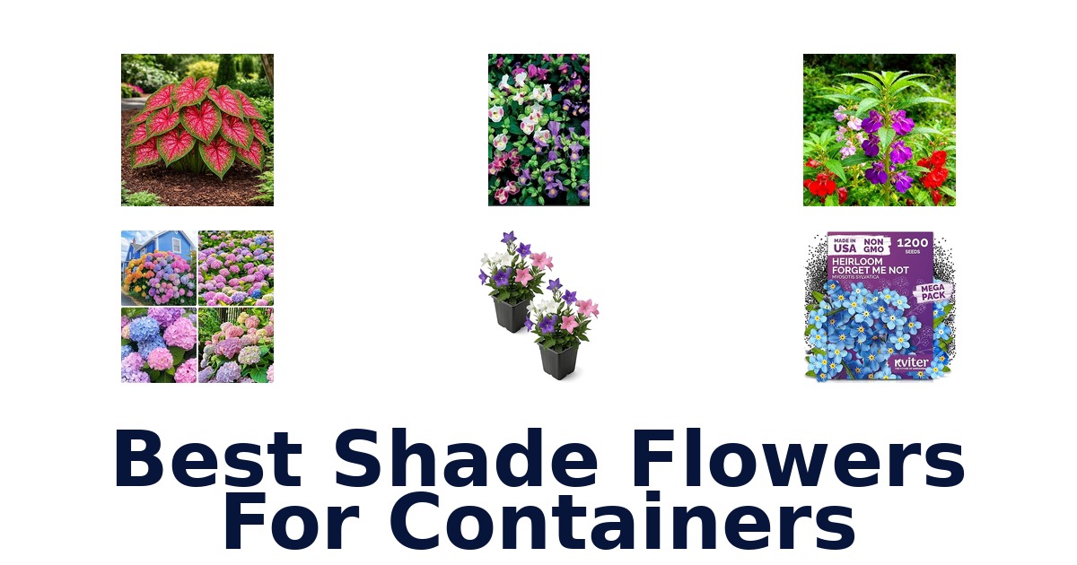best shade flowers for containers