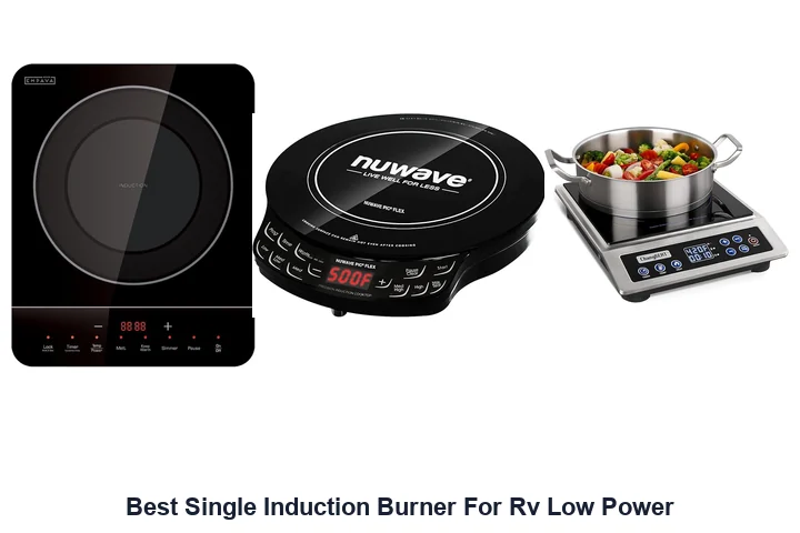 Best Single Induction Burner For Rv Low Power