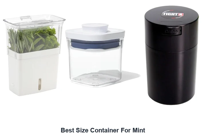 Best Size Container For Mint