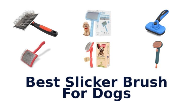 best slicker brush for dogs