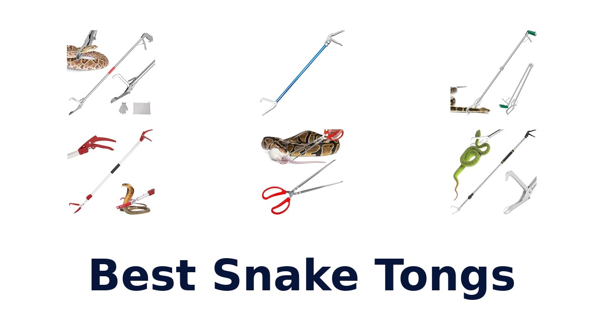 best snake tongs