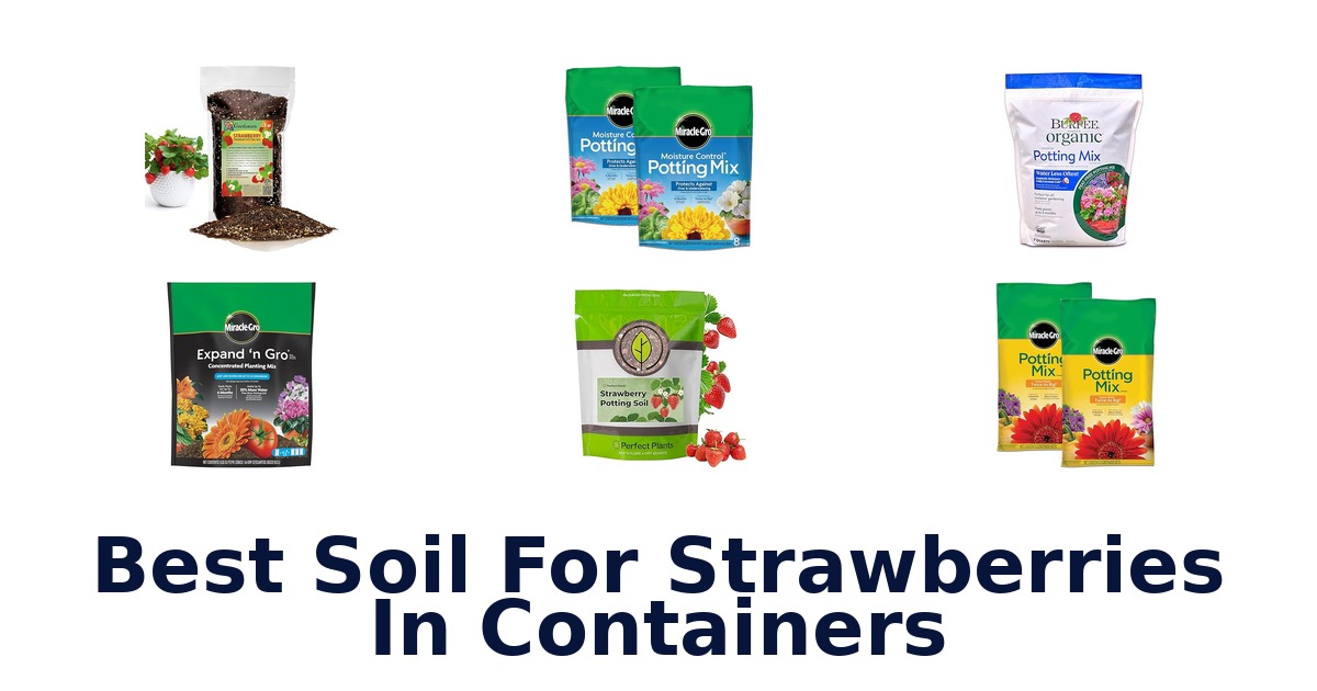 best soil for strawberries in containers