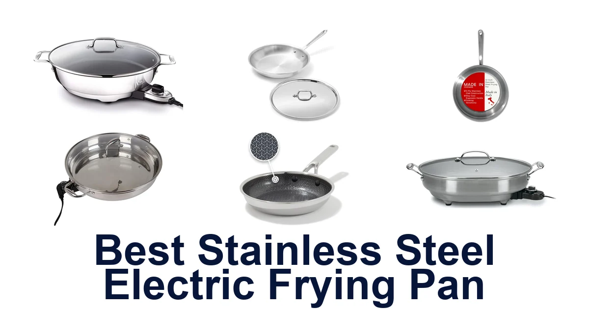 best stainless steel electric frying pan