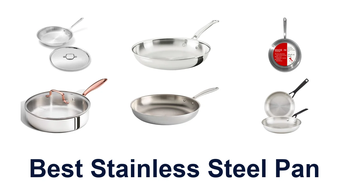 best stainless steel pan