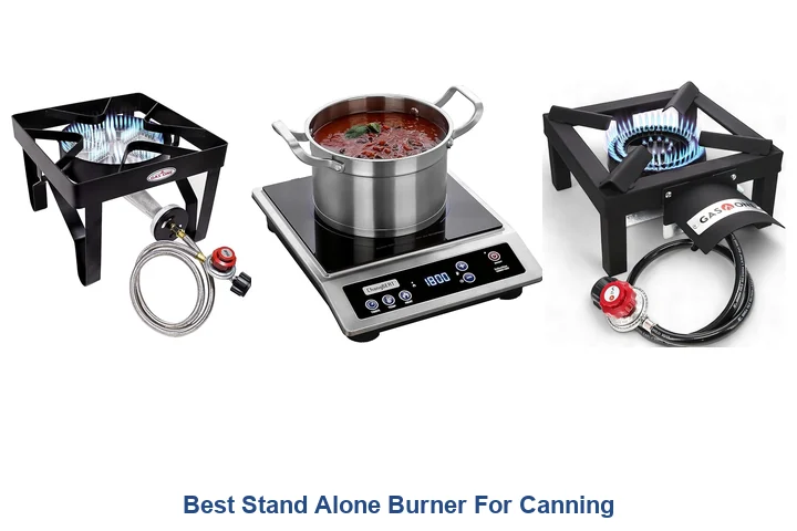 Best Stand Alone Burner For Canning
