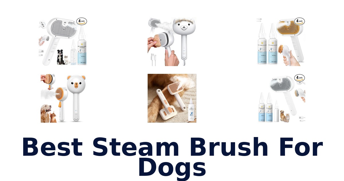best steam brush for dogs