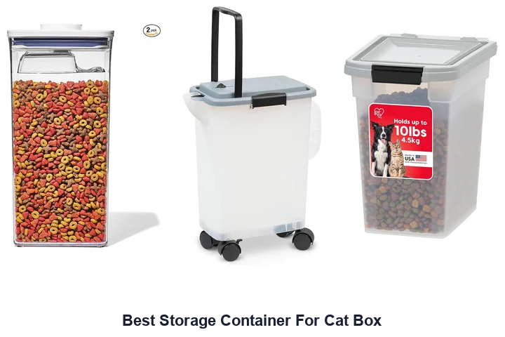 Best Storage Container For Cat Box