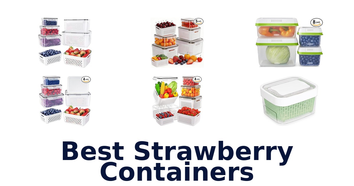 best strawberry containers