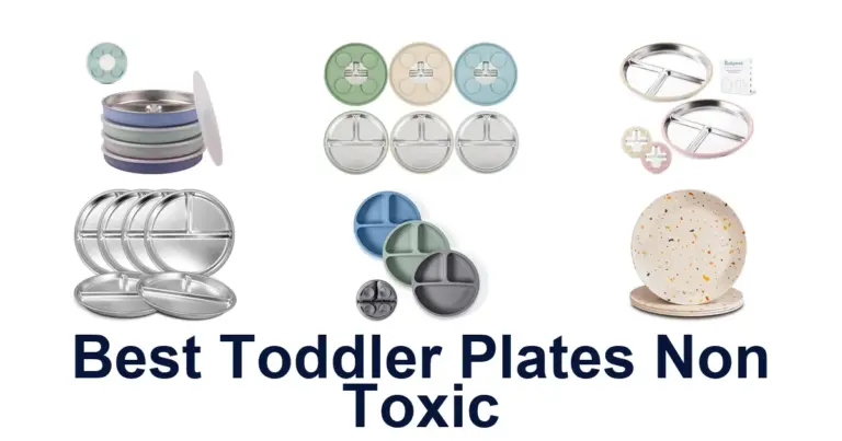 best toddler plates non toxic