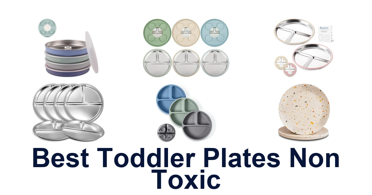 best toddler plates non toxic