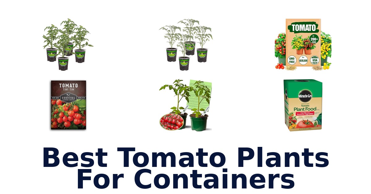 best tomato plants for containers